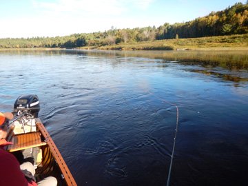 Renous-op-de-boot