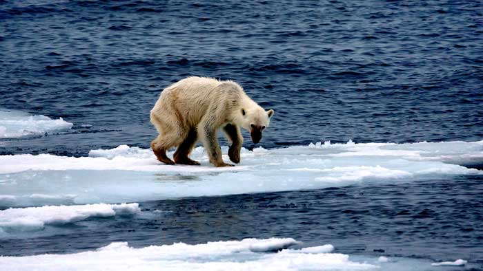 klimaatakkoord-van-parijs-effecten